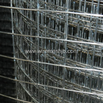 1''X 1'' Galvanized Welded Wire Mesh Rolls